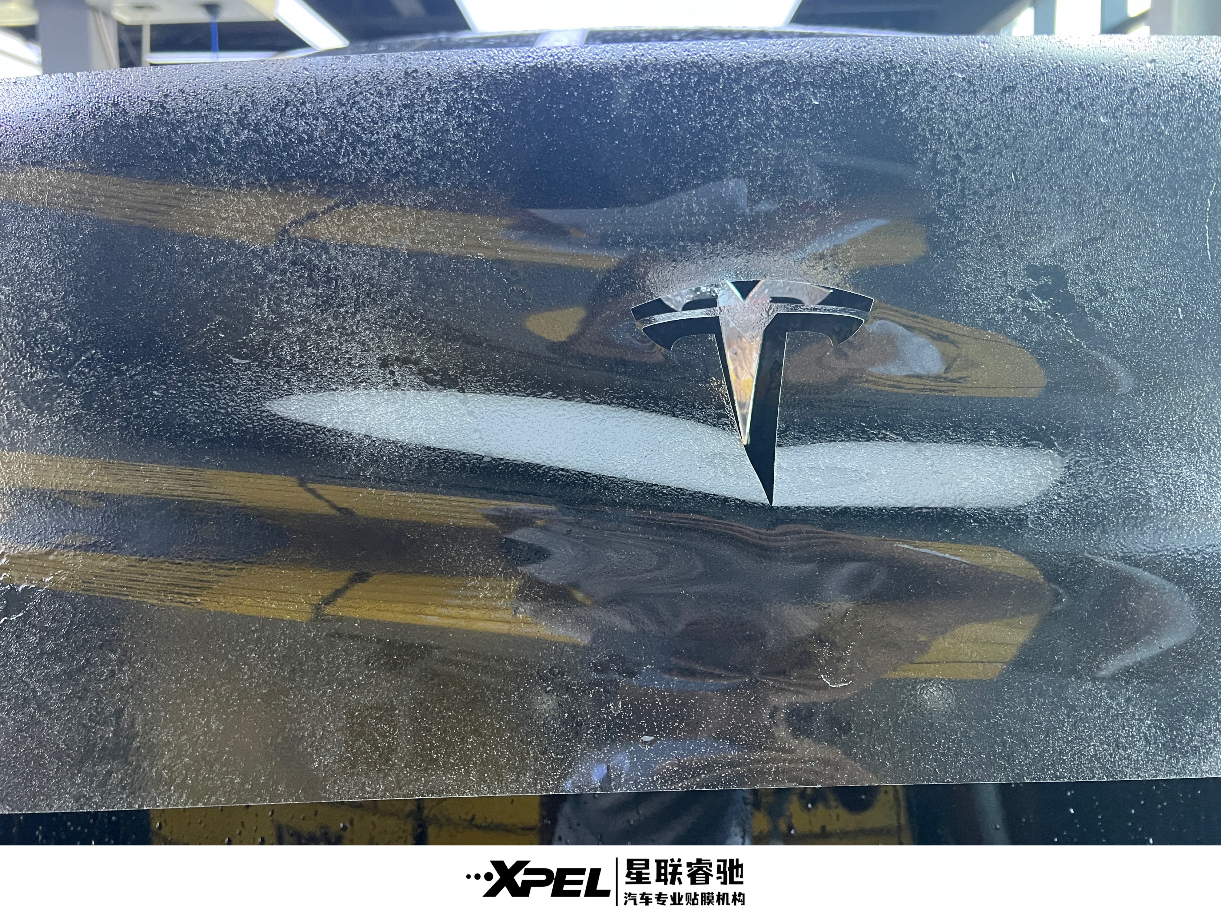 xpel中原福塔旗舰店(星联睿驰)