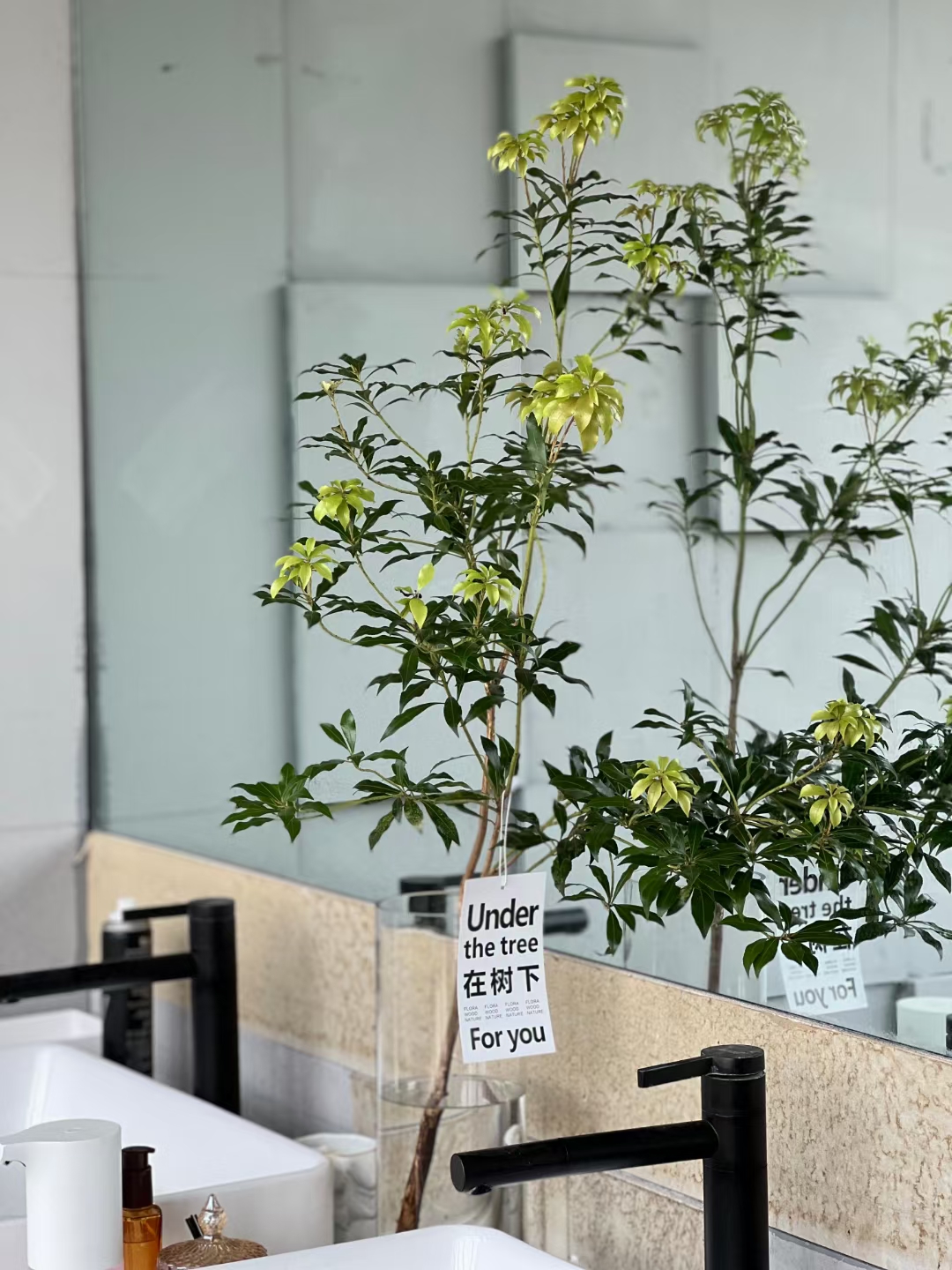 xpel中原福塔旗舰店(星联睿驰)