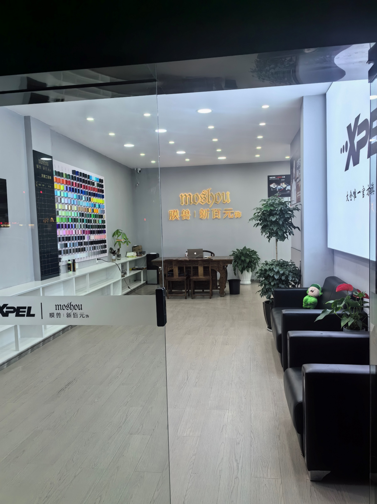 XPEL|膜兽·新佰元太仓授权店