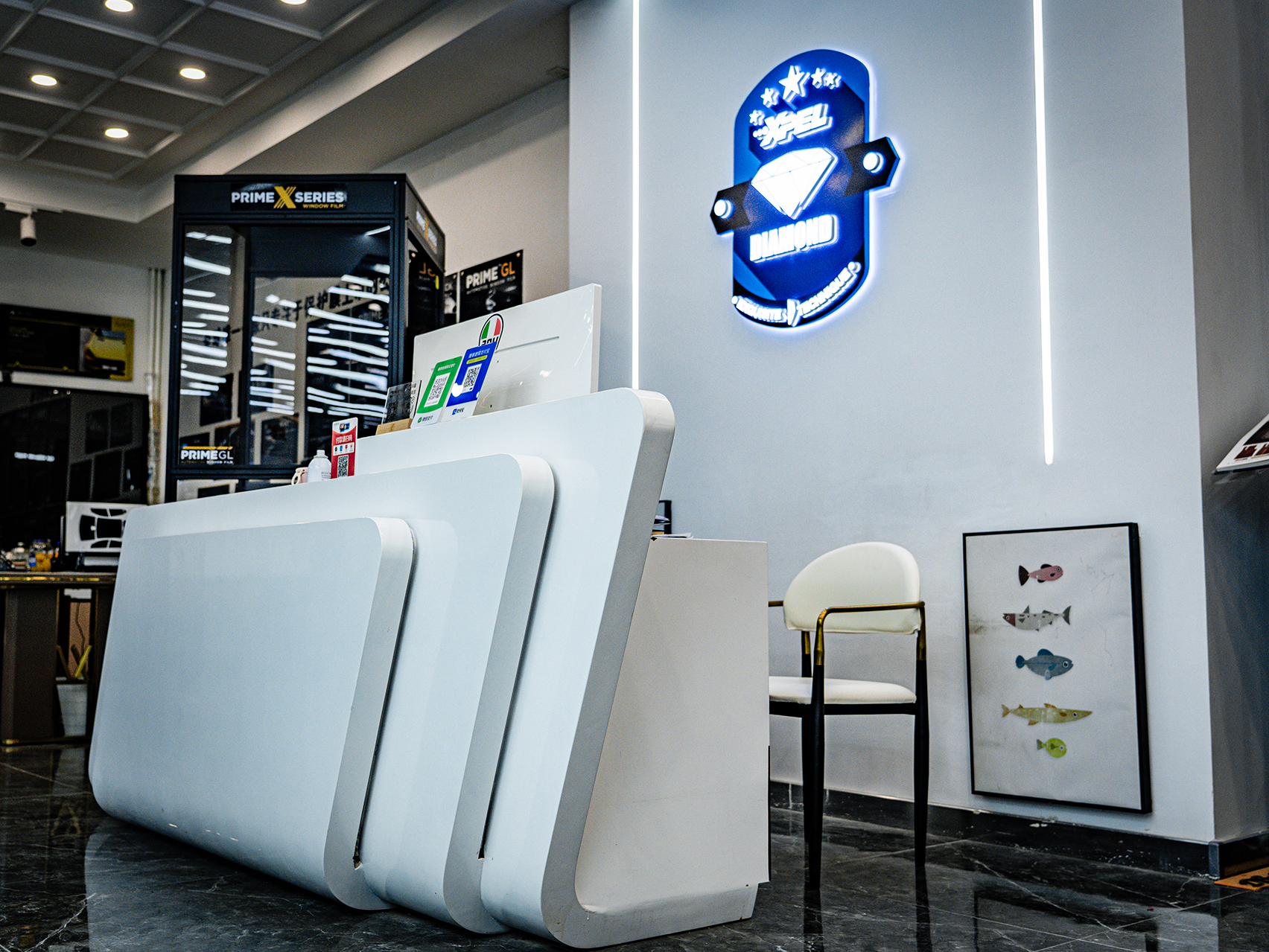 沈陽藝凡XPEL五星鉆石旗艦店