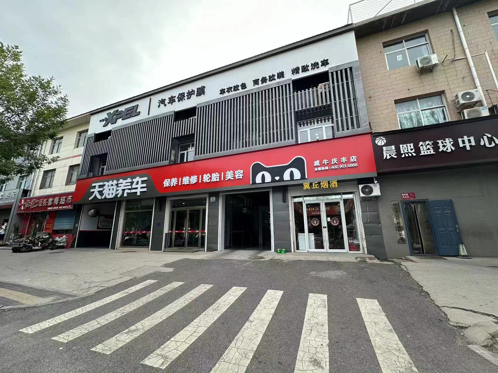 任丘威牛