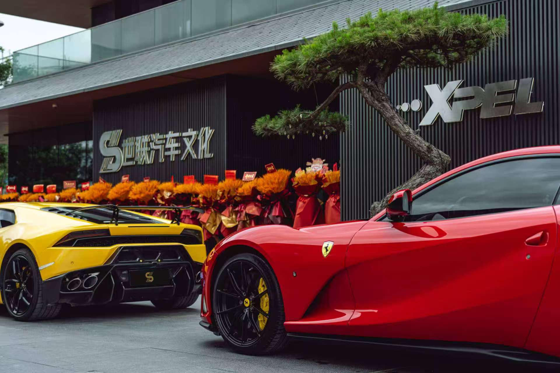 XPEL西安世联旗舰店